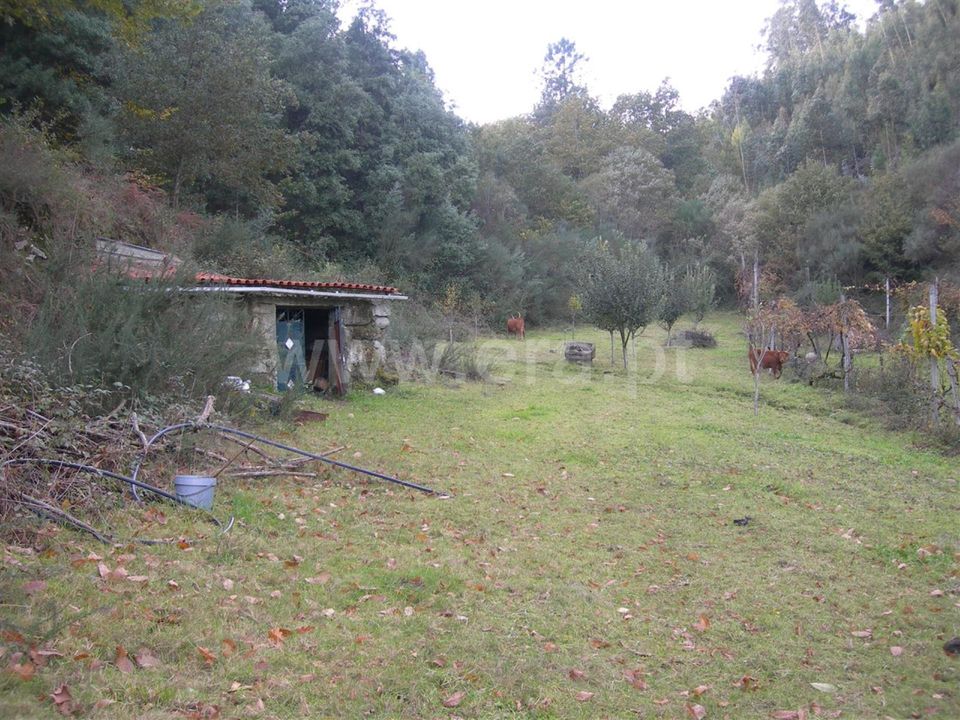Helårsgrund i Vieira do Minho, Braga - foto 2