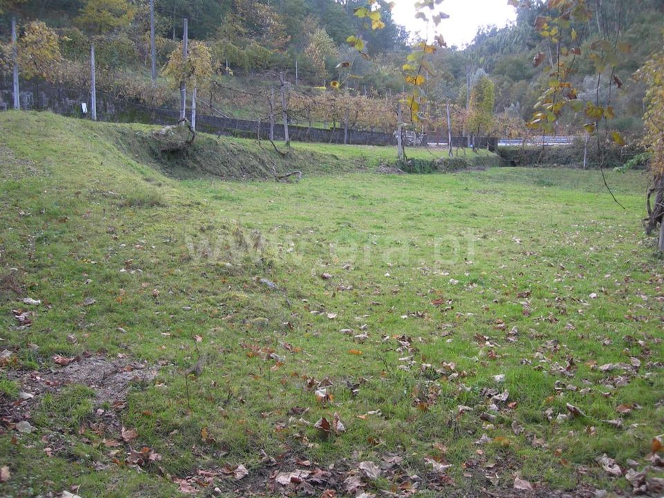 Helårsgrund i Vieira do Minho, Braga - foto 5