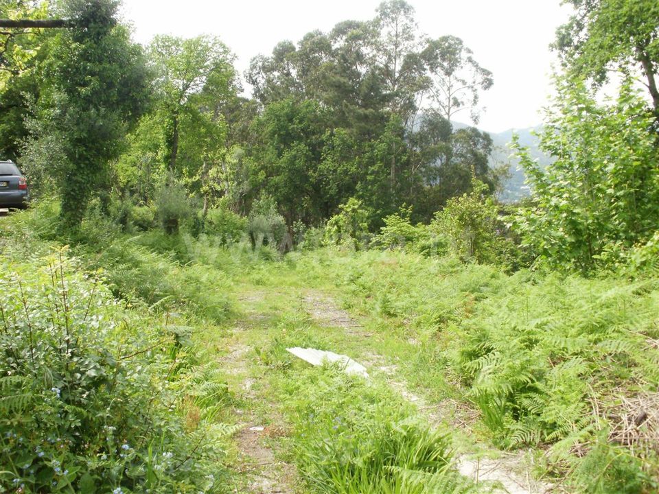 Helårsgrund i Vieira do Minho, Braga - foto 4