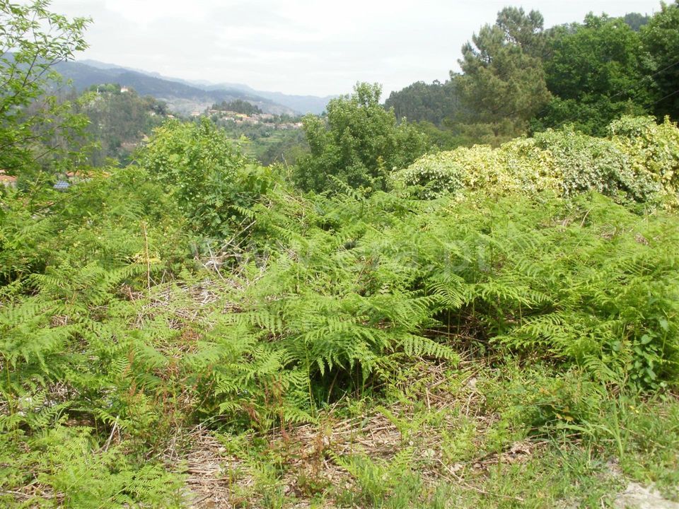 Helårsgrund i Vieira do Minho, Braga - foto 5