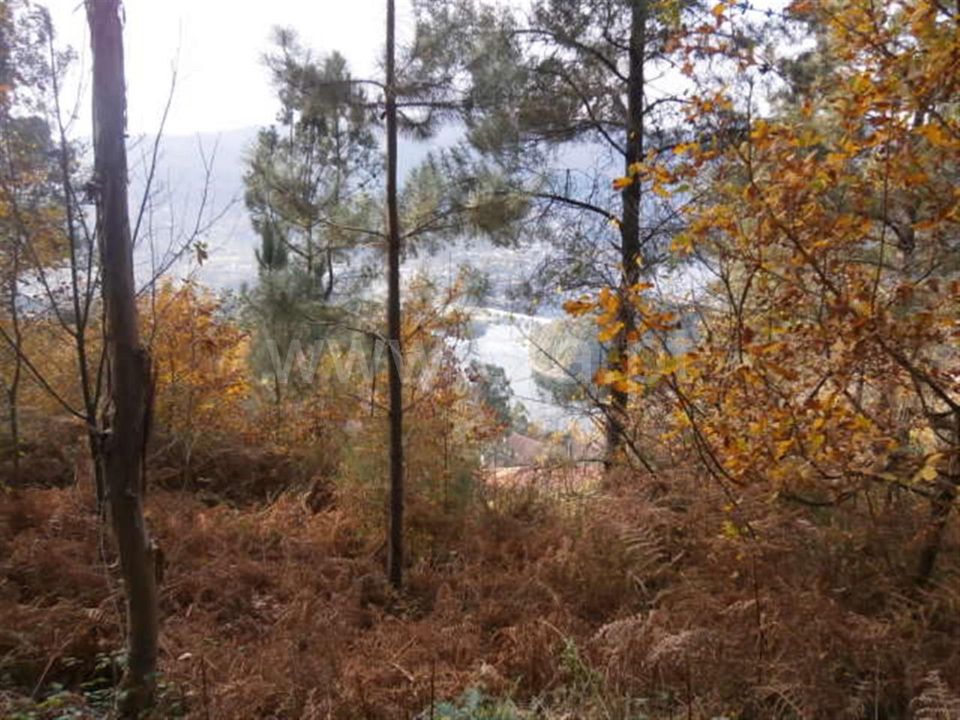 Helårsgrund i Vieira do Minho, Braga - foto 2