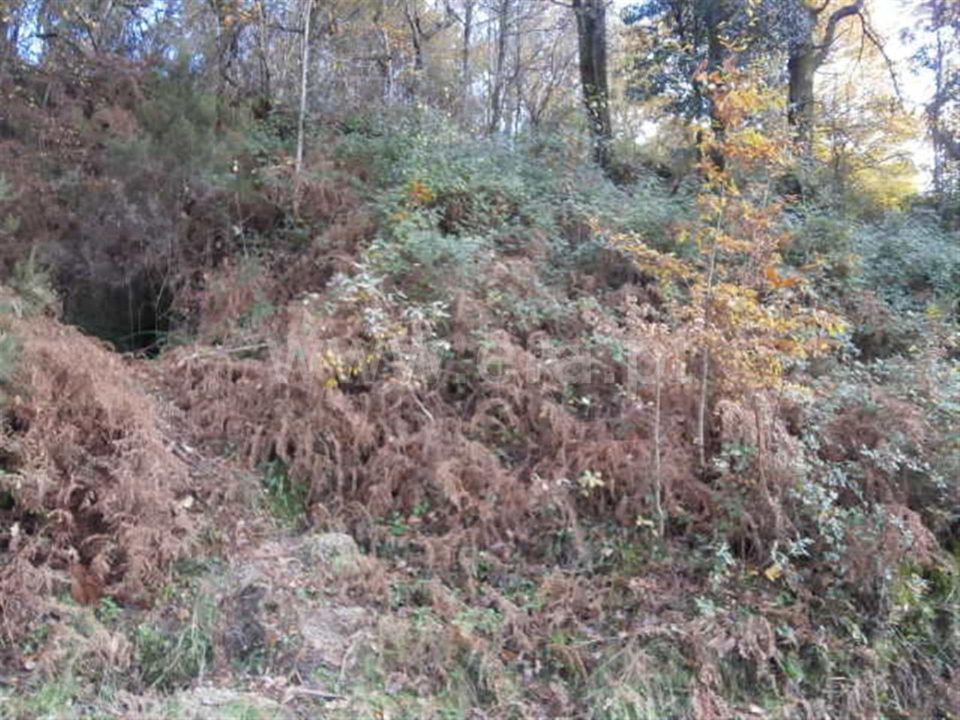 Helårsgrund i Vieira do Minho, Braga - foto 5