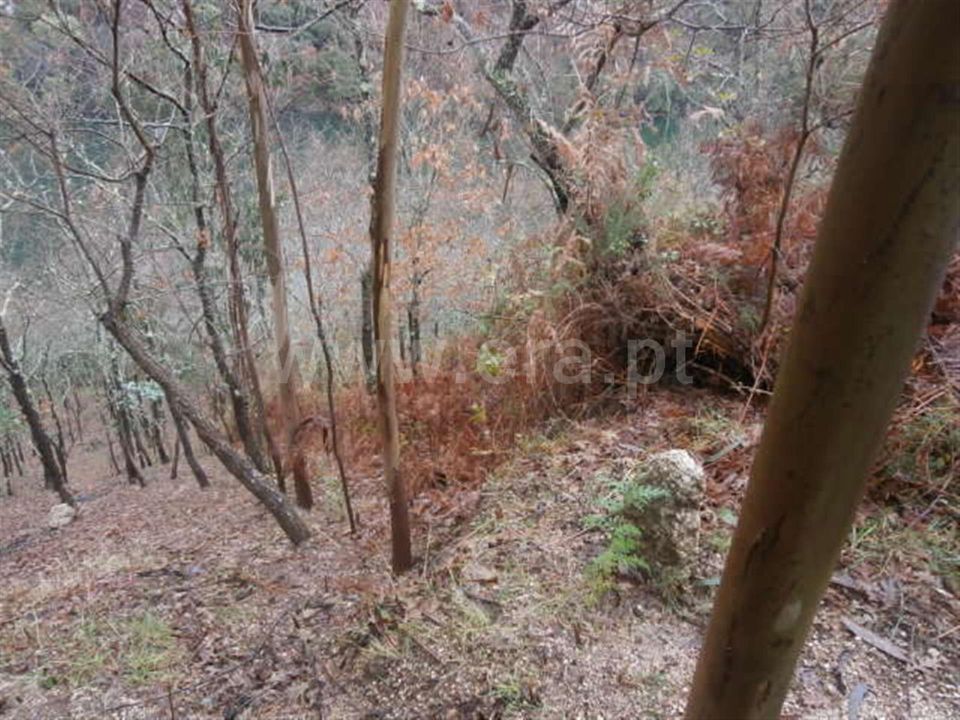 Helårsgrund i Vieira do Minho, Braga - foto 3