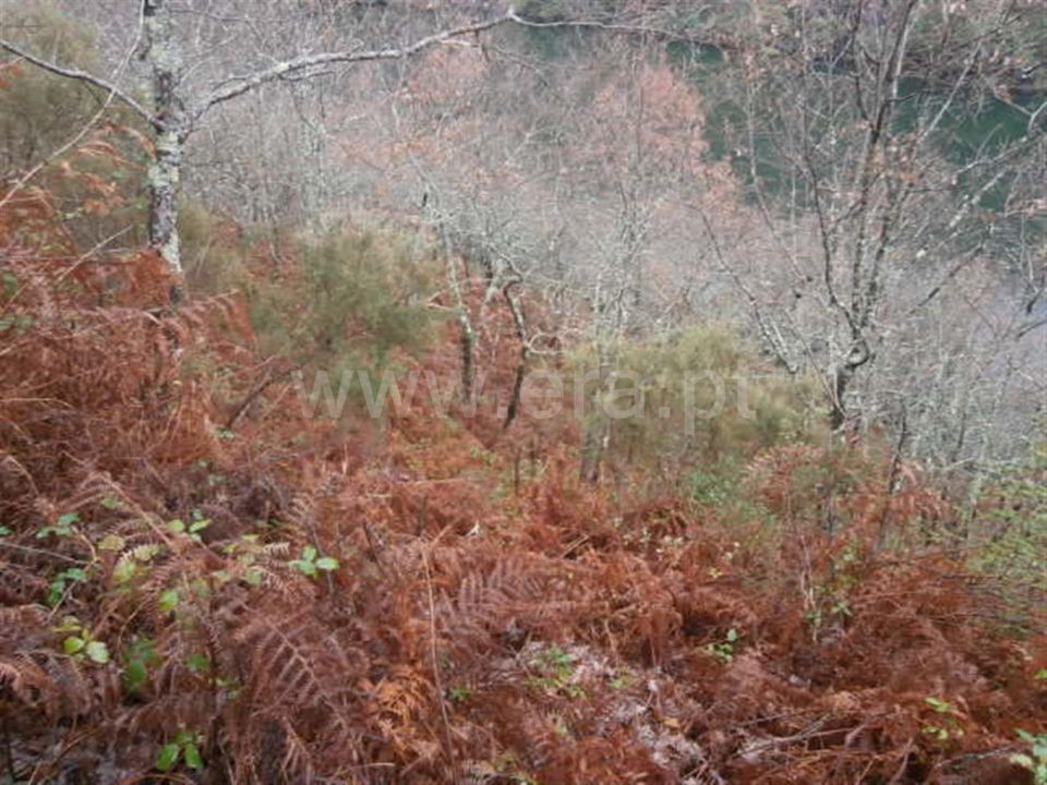 Helårsgrund i Vieira do Minho, Braga - foto 4