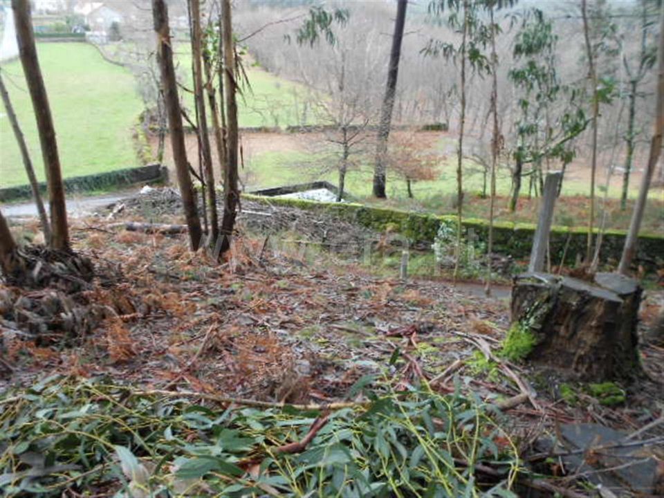 Helårsgrund i Vieira do Minho, Braga - foto 1