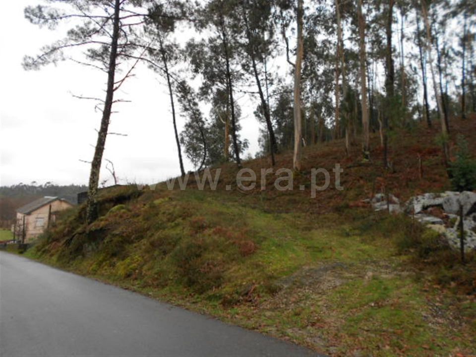 Helårsgrund i Vieira do Minho, Braga - foto 2