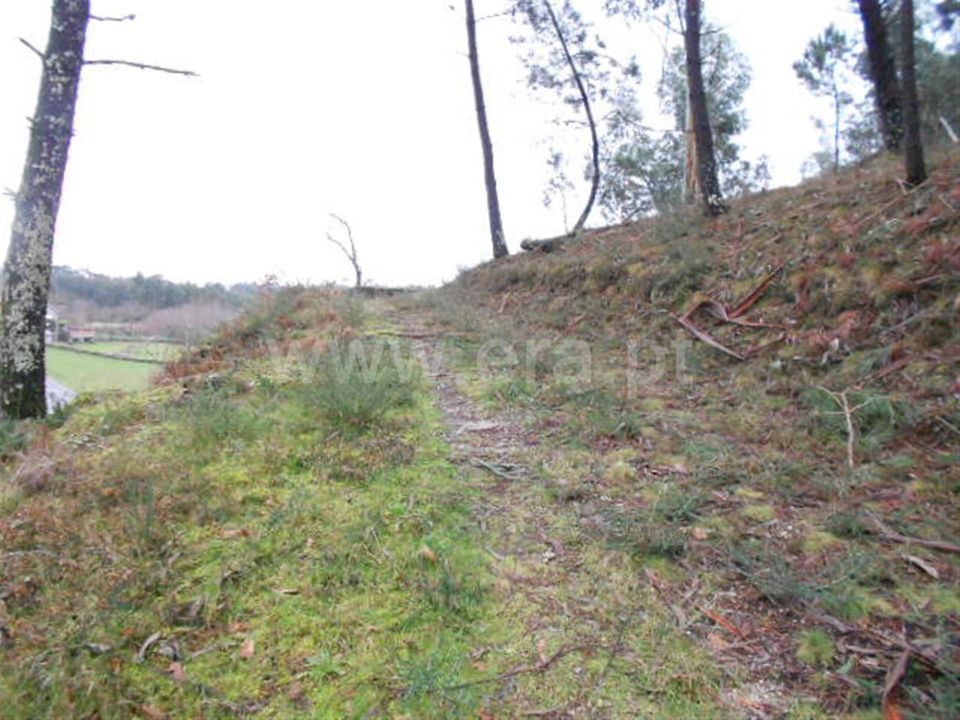 Helårsgrund i Vieira do Minho, Braga - foto 4