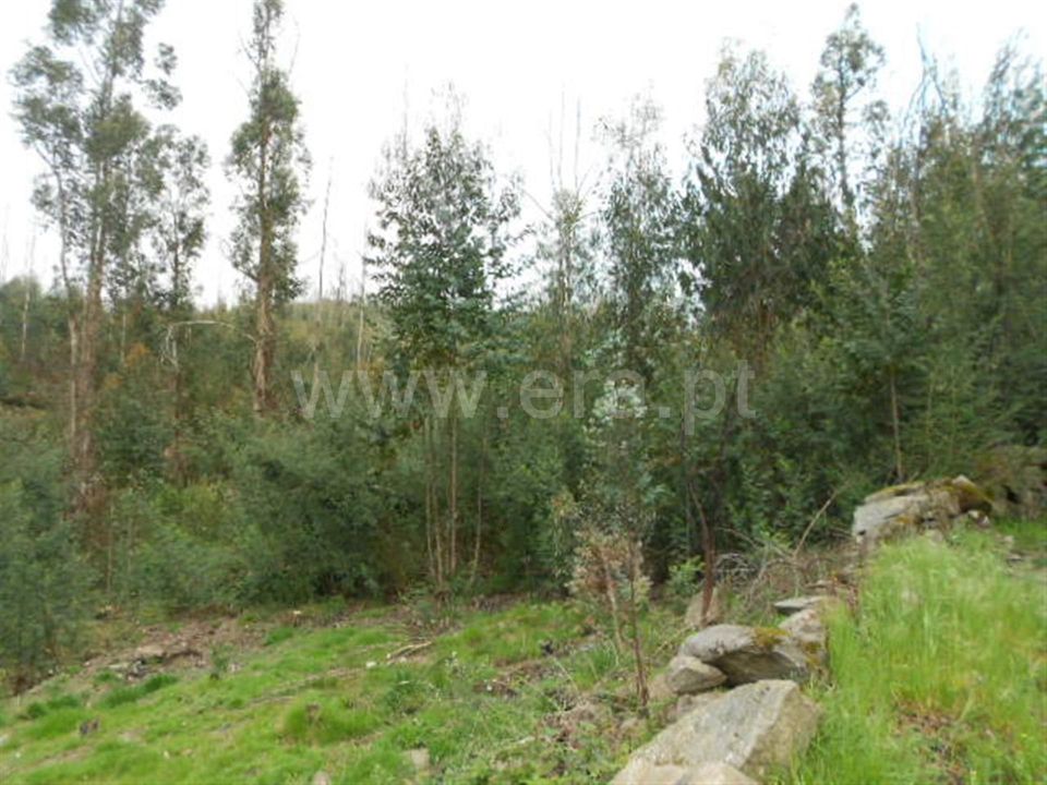 Helårsgrund i Povoa de Lanhoso, Braga - foto 1