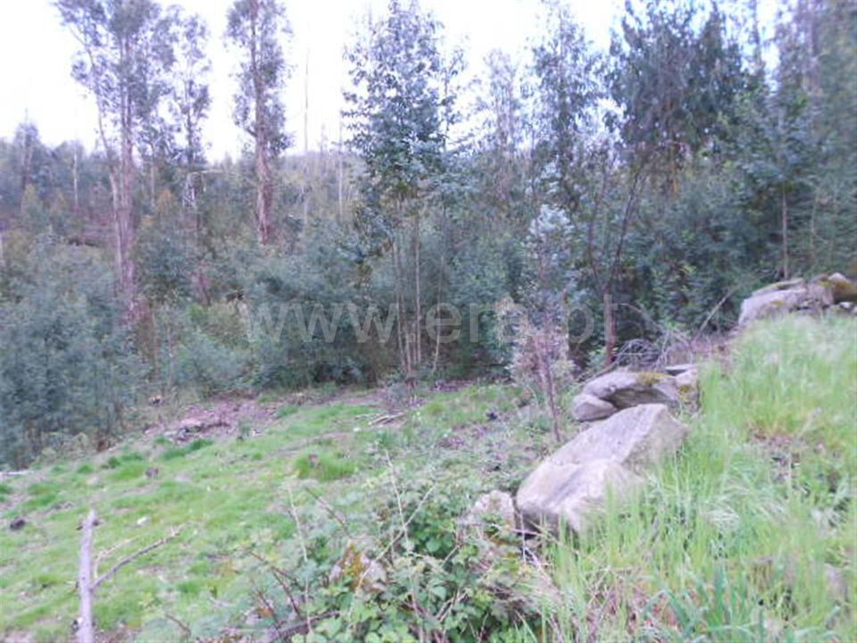 Helårsgrund i Povoa de Lanhoso, Braga - foto 3