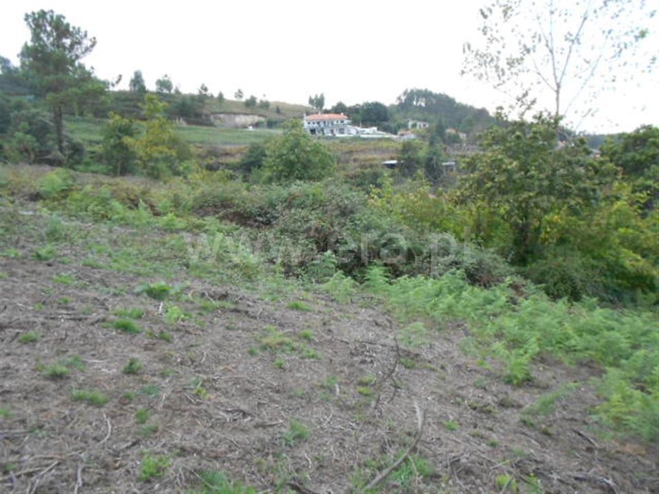 Helårsgrund i Povoa de Lanhoso, Braga - foto 5