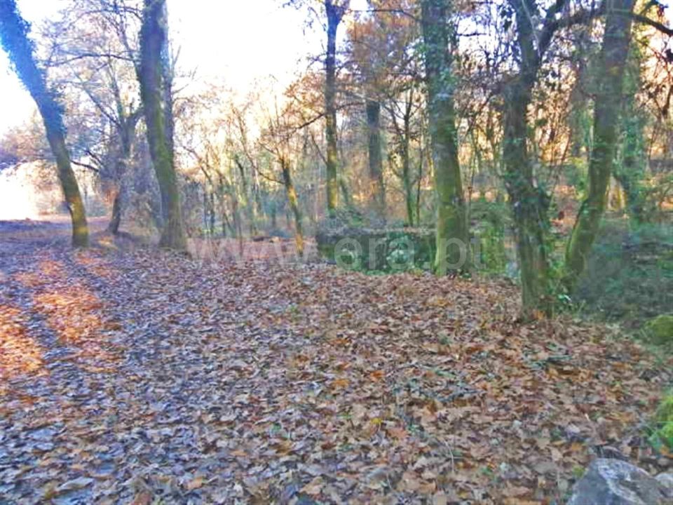 Helårsgrund i Povoa de Lanhoso, Braga - foto 2