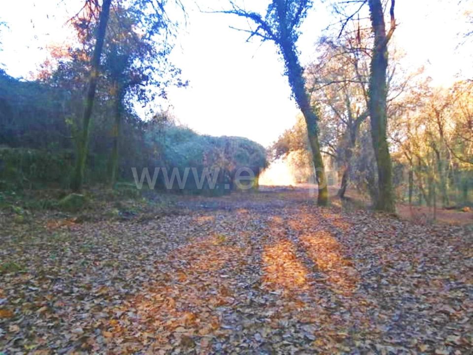Helårsgrund i Povoa de Lanhoso, Braga - foto 3