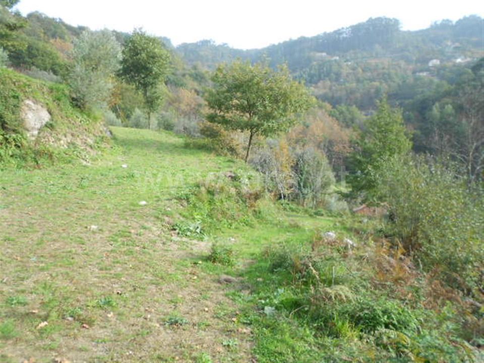Helårsgrund i Vieira do Minho, Braga - foto 5