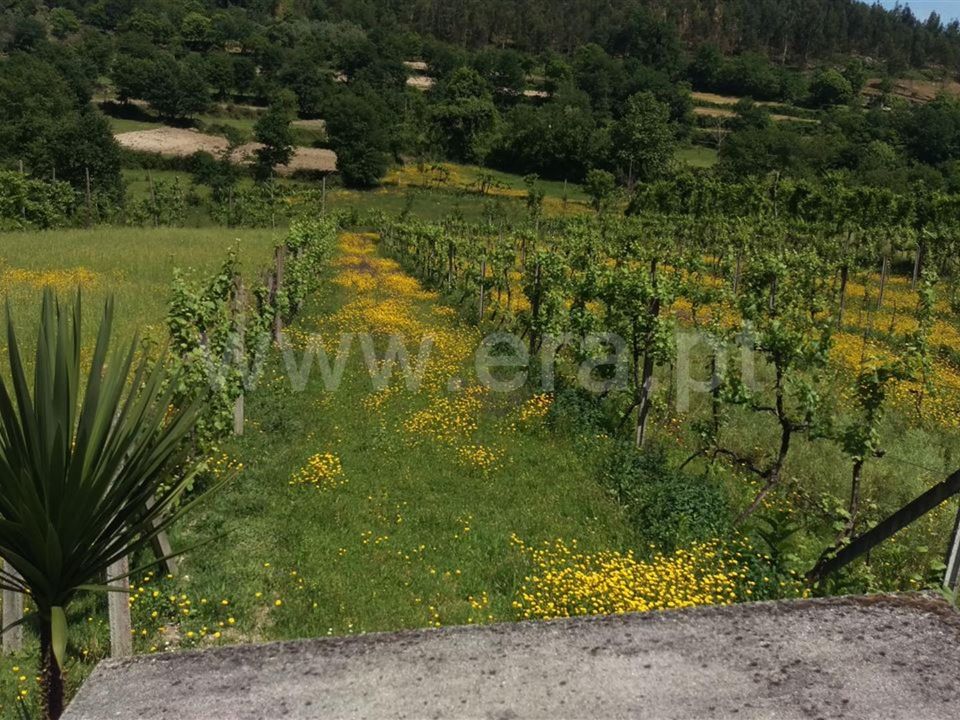 Helårsgrund i Vieira do Minho, Braga - foto 1