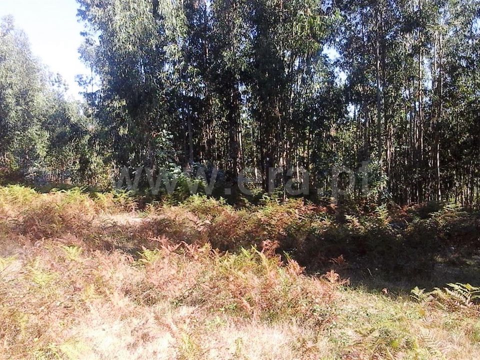 Helårsgrund i Vieira do Minho, Braga - foto 1