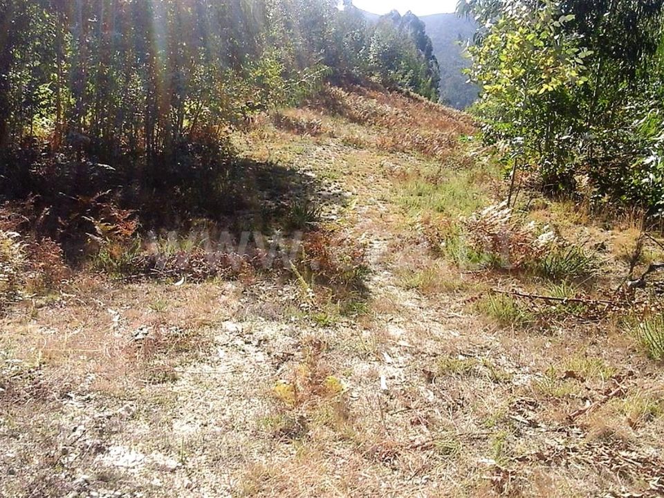 Helårsgrund i Vieira do Minho, Braga - foto 3