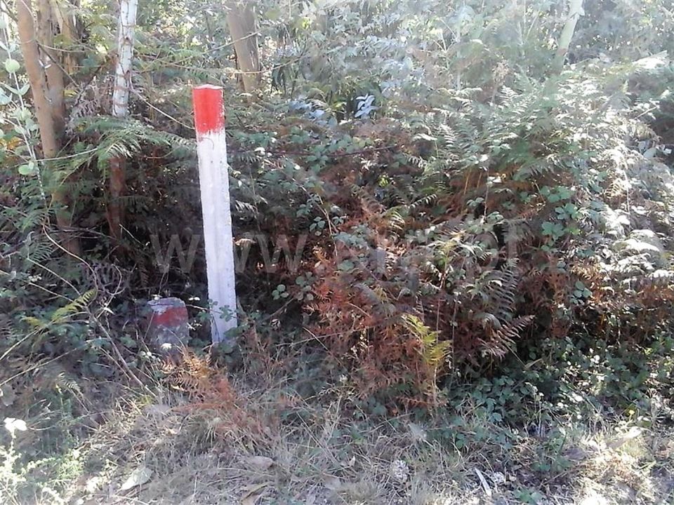 Helårsgrund i Vieira do Minho, Braga - foto 4