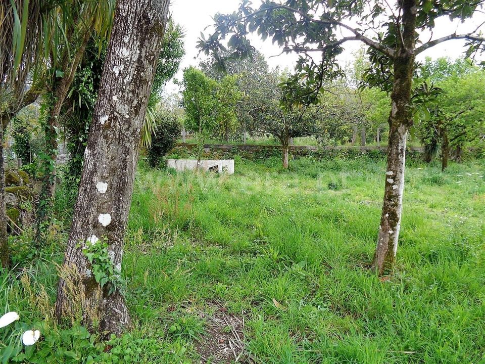 Helårsgrund i Povoa de Lanhoso, Braga - foto 2