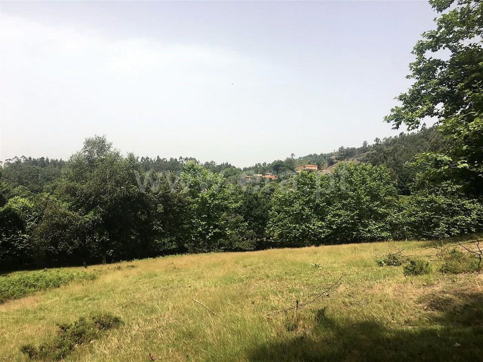 Helårsgrund i Vieira do Minho, Braga - foto 3