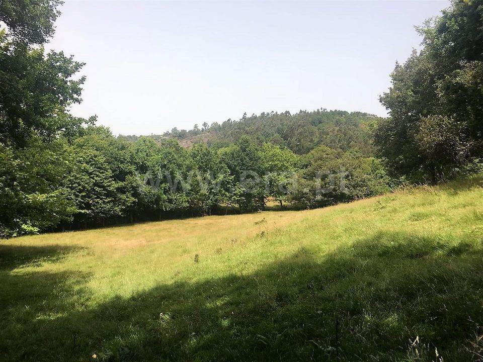 Helårsgrund i Vieira do Minho, Braga - foto 4
