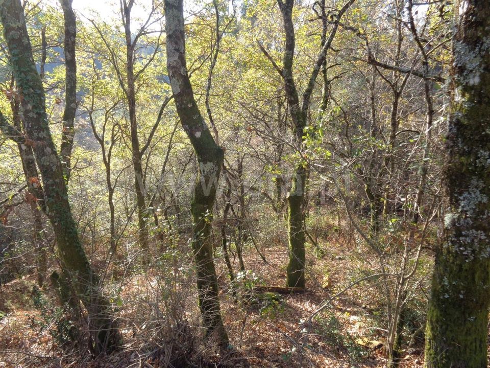 Helårsgrund i Vieira do Minho, Braga - foto 2