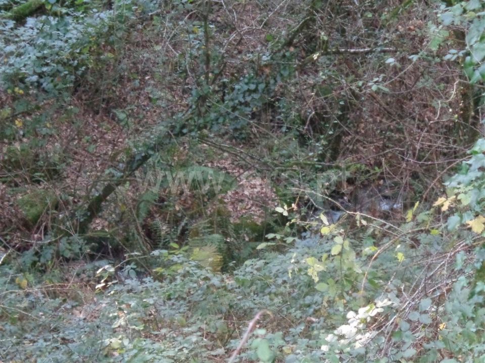 Helårsgrund i Vieira do Minho, Braga - foto 4