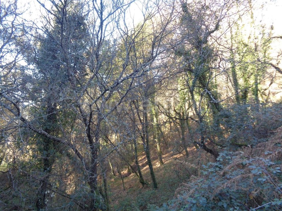 Helårsgrund i Vieira do Minho, Braga - foto 5