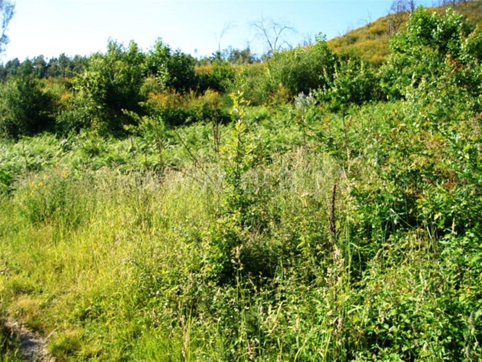 Helårsgrund i Povoa de Lanhoso, Braga - foto 1