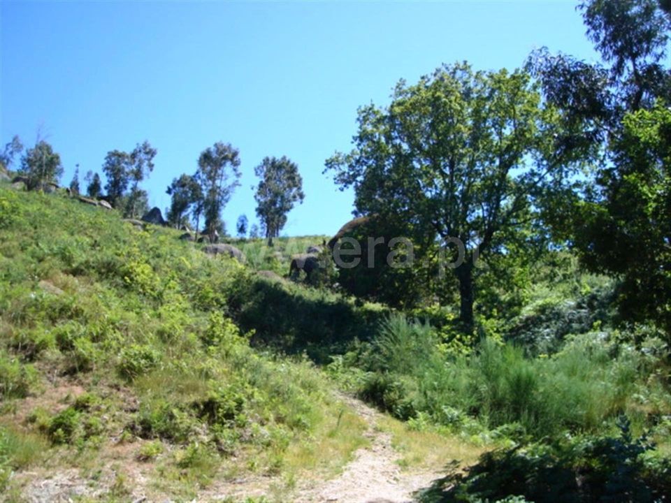 Helårsgrund i Povoa de Lanhoso, Braga - foto 2