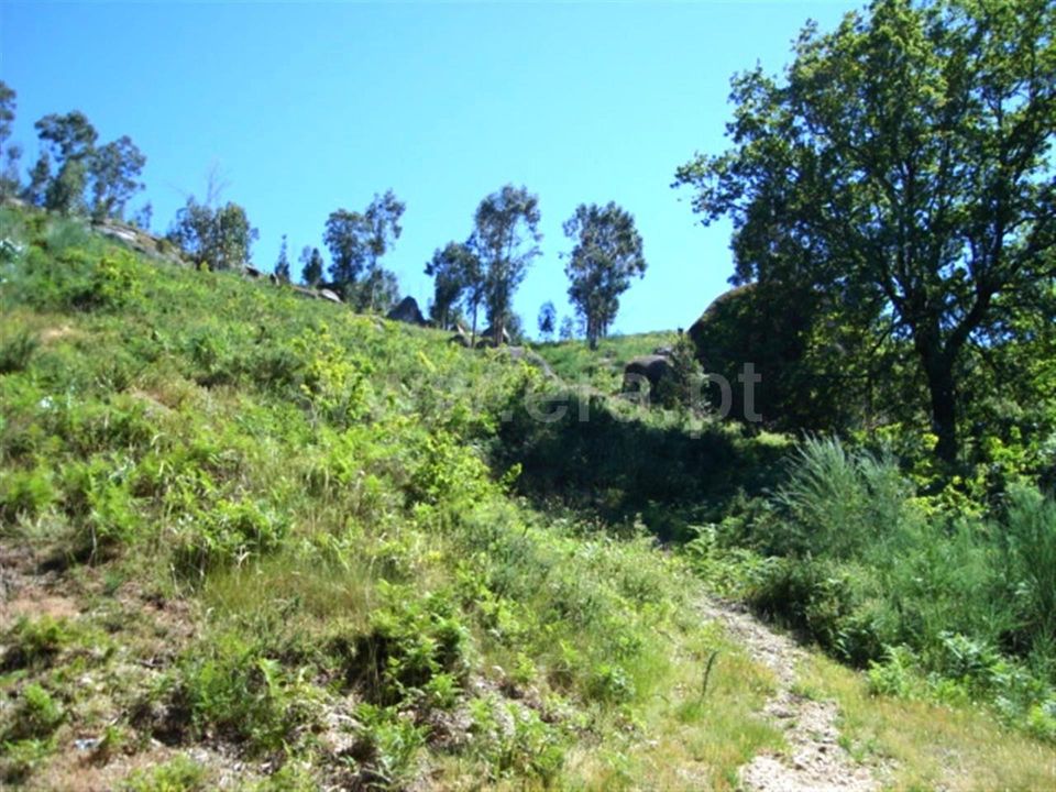 Helårsgrund i Povoa de Lanhoso, Braga - foto 4