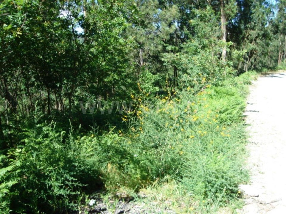 Helårsgrund i Povoa de Lanhoso, Braga - foto 5