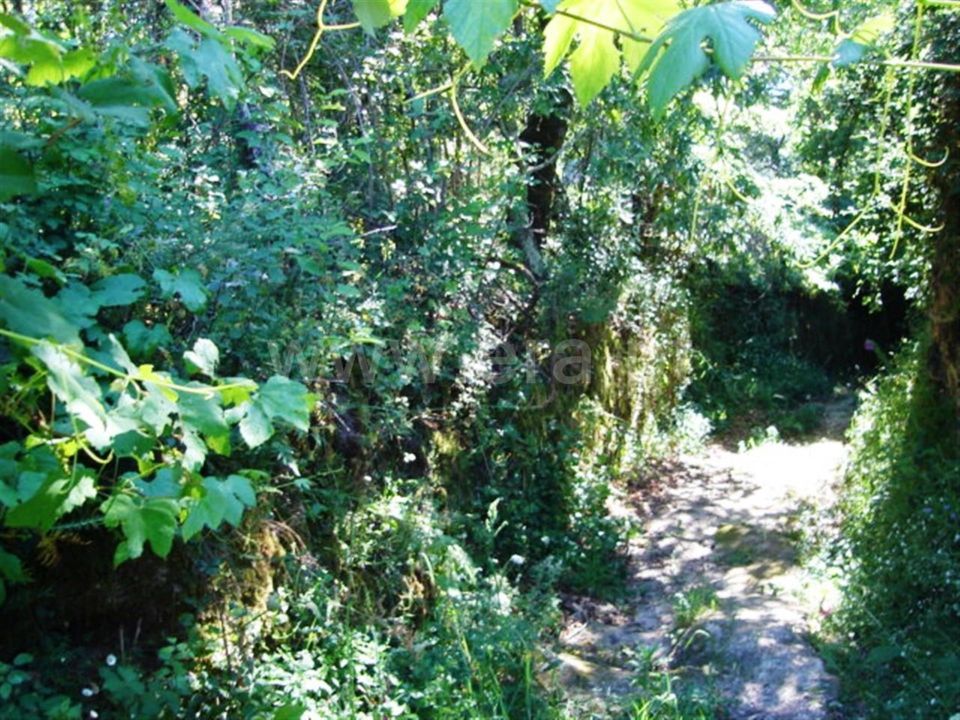 Helårsgrund i Povoa de Lanhoso, Braga - foto 3