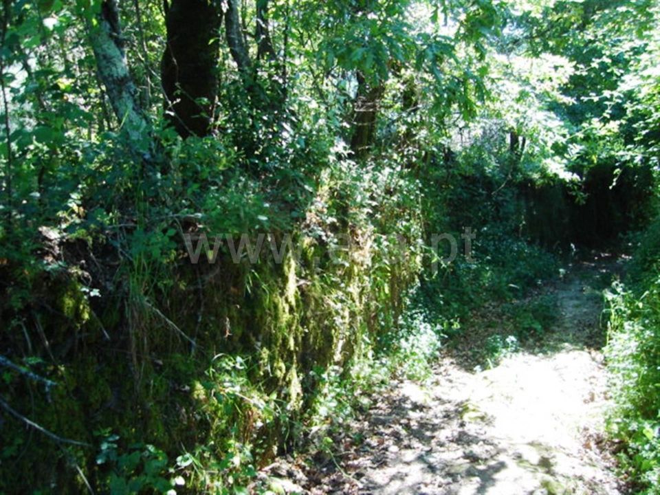 Helårsgrund i Povoa de Lanhoso, Braga - foto 4