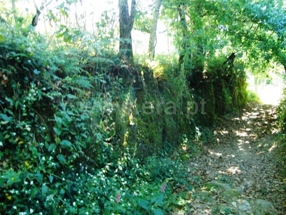 Helårsgrund i Povoa de Lanhoso, Braga - foto 5