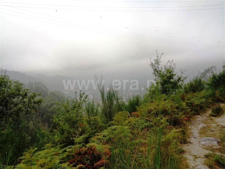 Helårsgrund i Vieira do Minho, Braga - foto 5