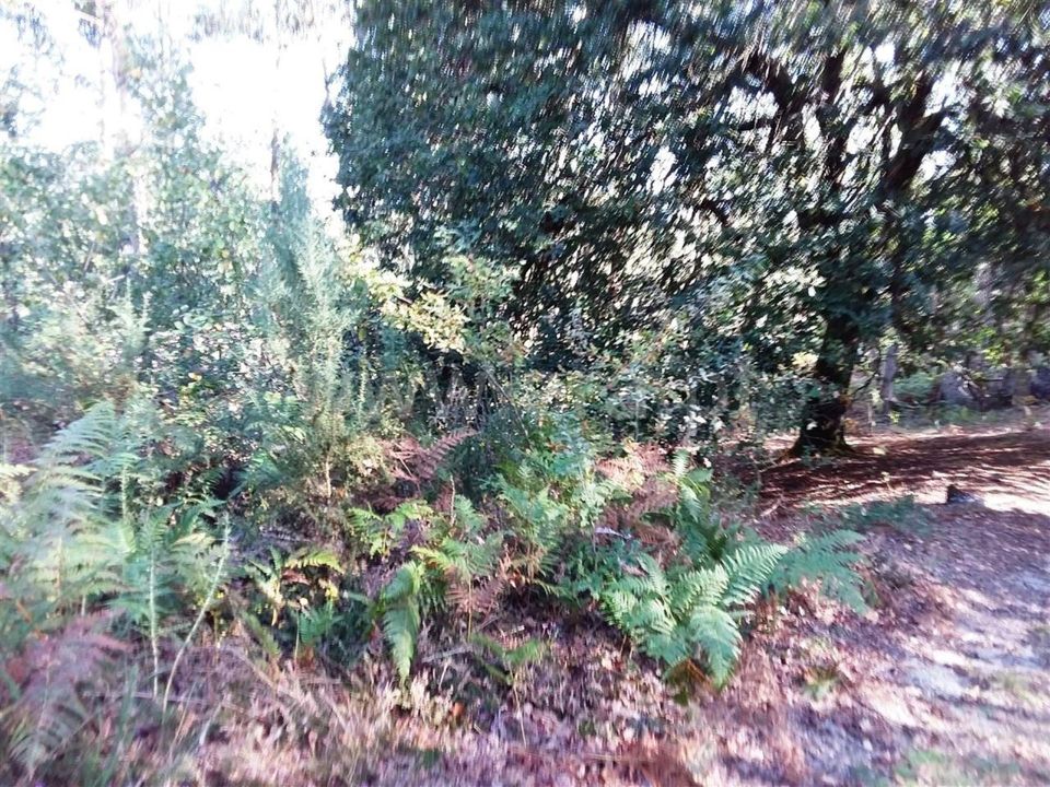 Helårsgrund i Povoa de Lanhoso, Braga - foto 5