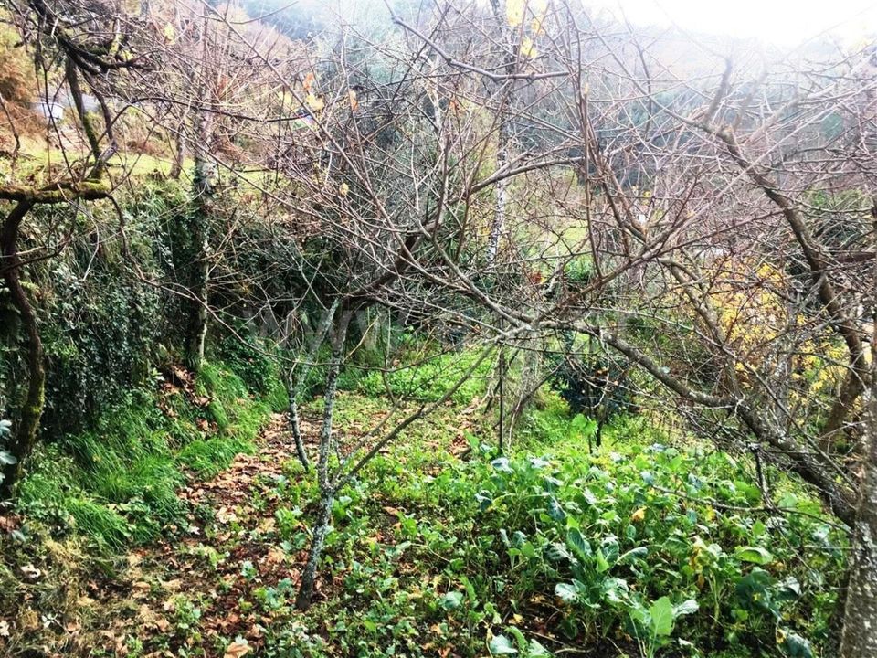 Helårsgrund i Vieira do Minho, Braga - foto 1
