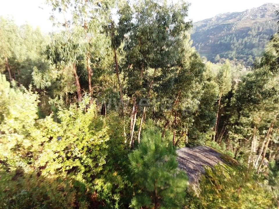 Helårsgrund i Vieira do Minho, Braga - foto 1