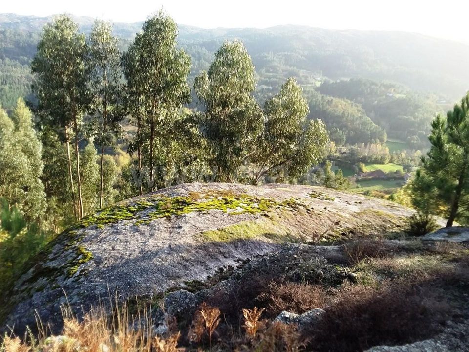 Helårsgrund i Vieira do Minho, Braga - foto 2