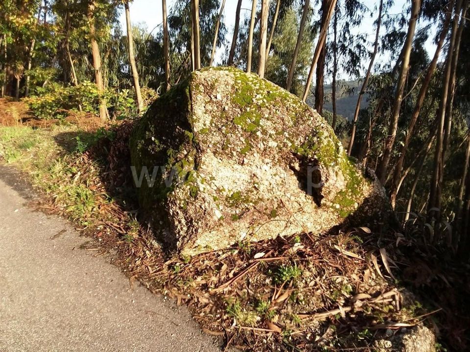 Helårsgrund i Vieira do Minho, Braga - foto 4