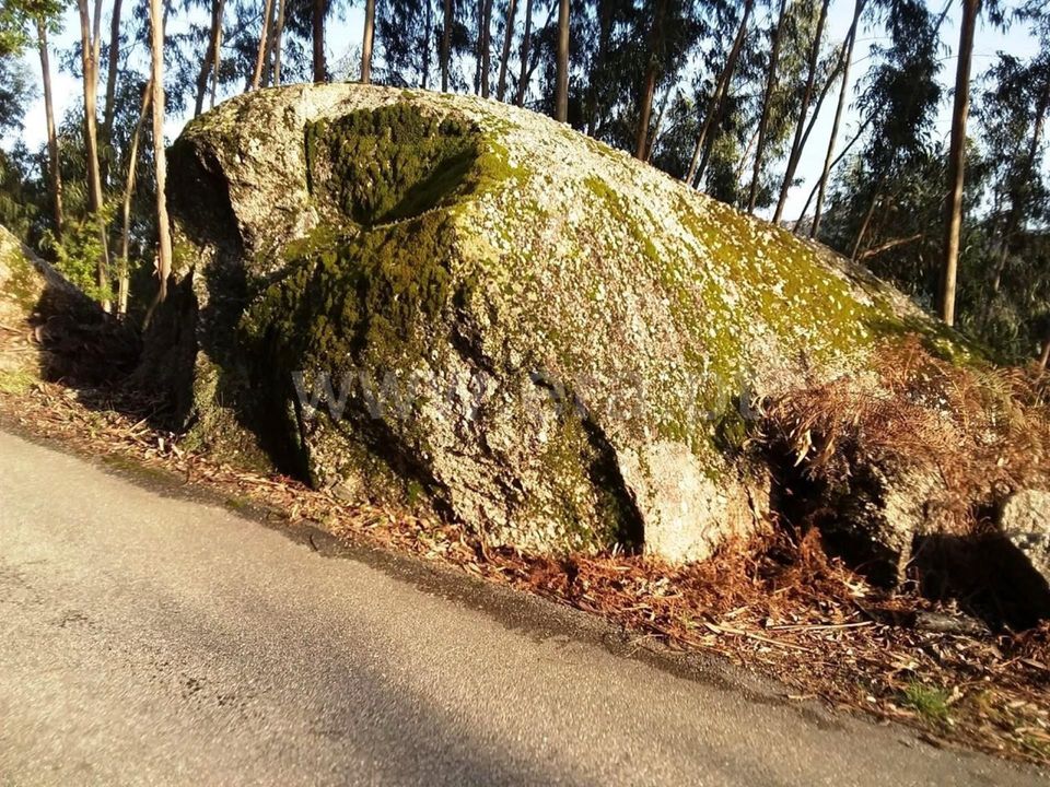 Helårsgrund i Vieira do Minho, Braga - foto 5