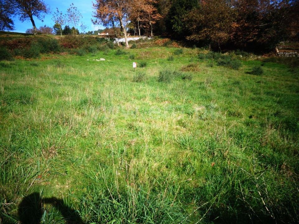 Helårsgrund i Povoa de Lanhoso, Braga - foto 3