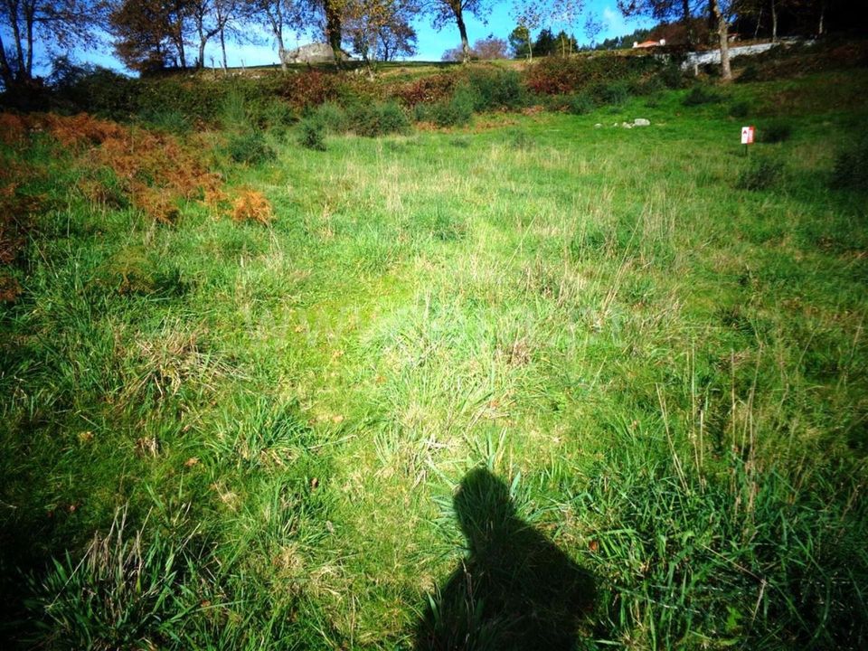 Helårsgrund i Povoa de Lanhoso, Braga - foto 4