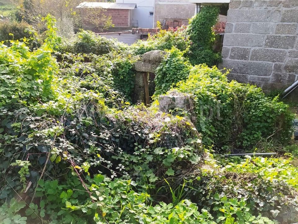 Helårsgrund i Vieira do Minho, Braga - foto 4