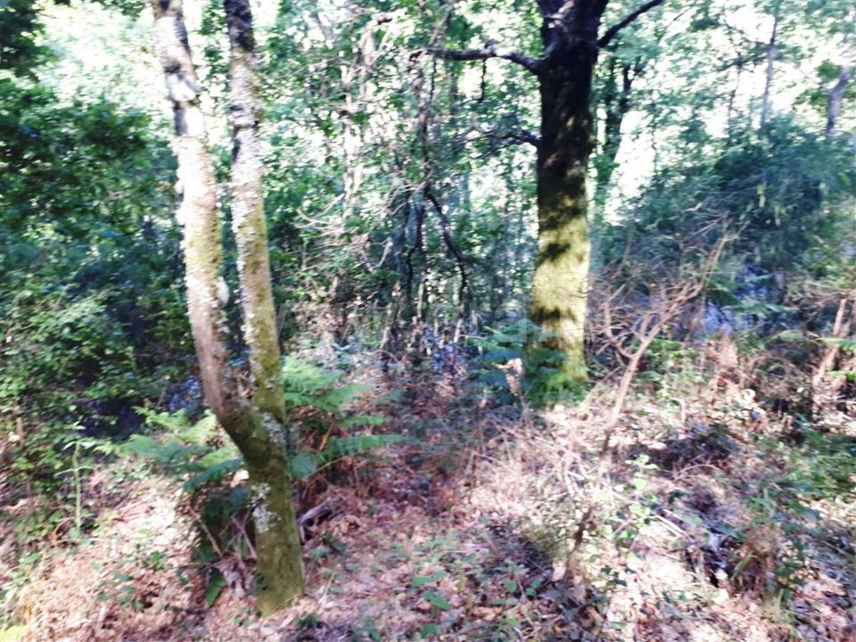 Helårsgrund i Vieira do Minho, Braga - foto 3