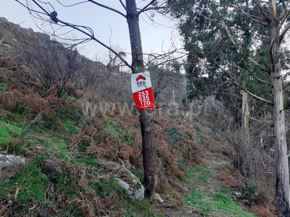Helårsgrund i Vieira do Minho, Braga - foto 2