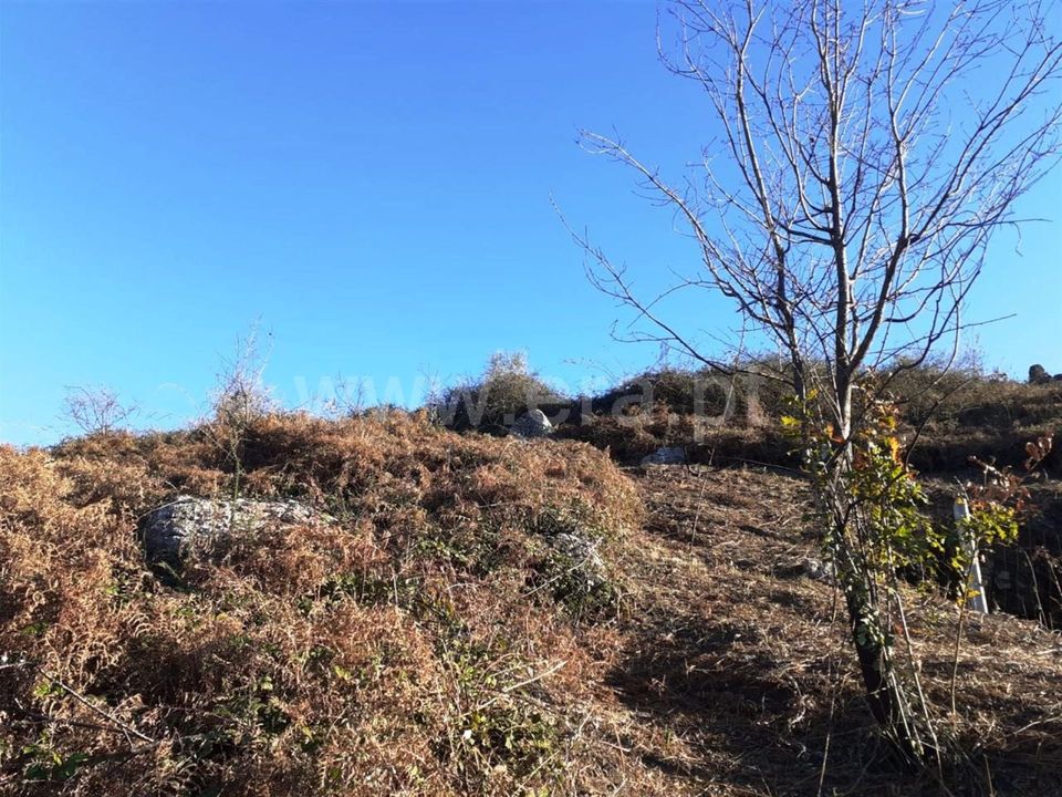 Helårsgrund i Vieira do Minho, Braga - foto 4