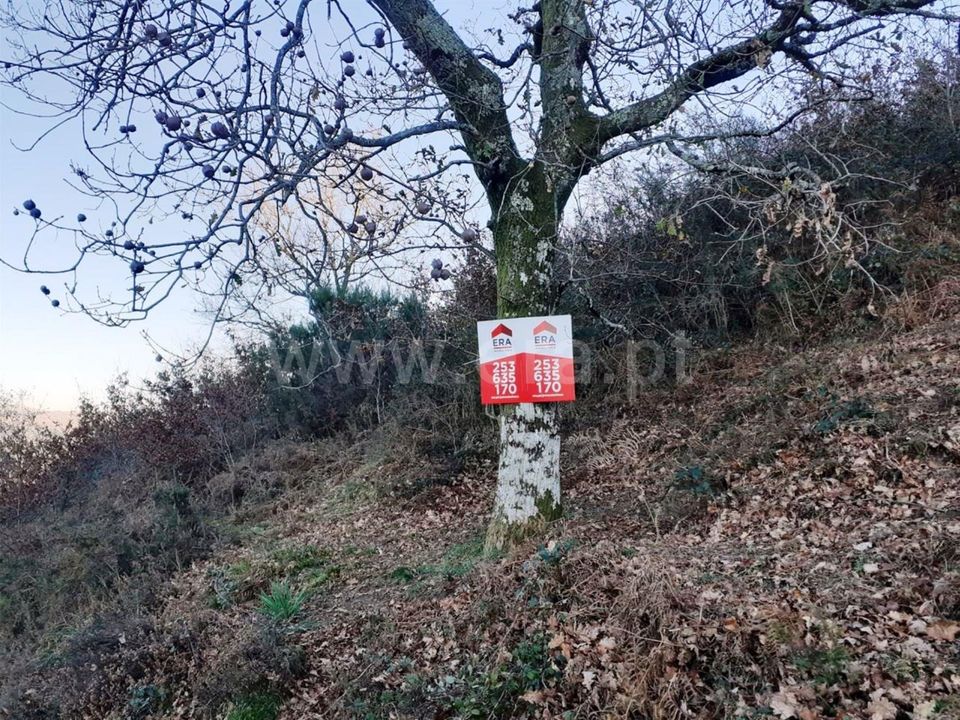 Helårsgrund i Vieira do Minho, Braga - foto 1