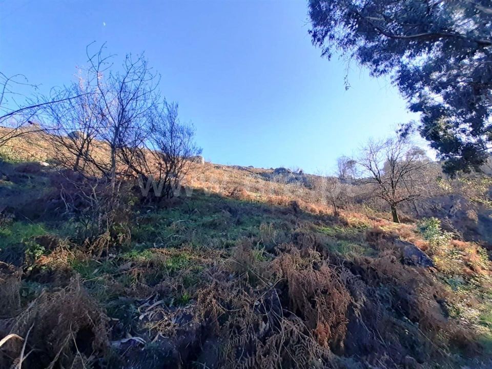 Helårsgrund i Vieira do Minho, Braga - foto 4