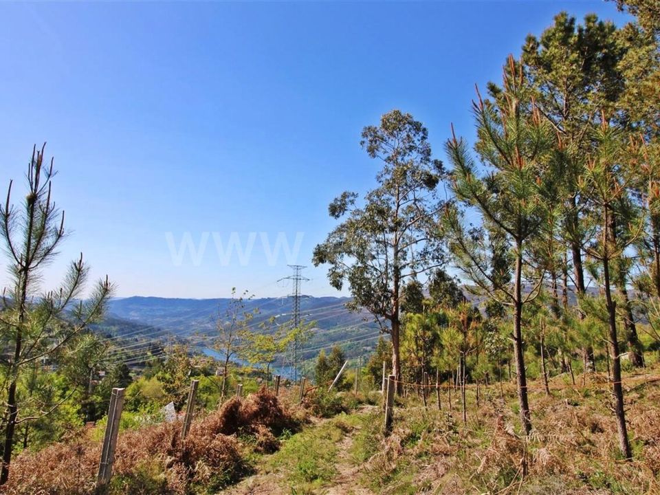 Helårsgrund i Vieira do Minho, Braga - foto 3